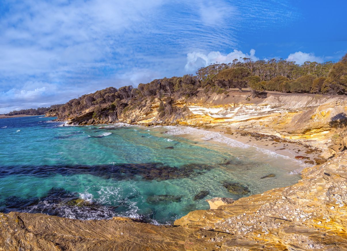 Guided Maria Island You Travel & Cruise Bethelehem 00003