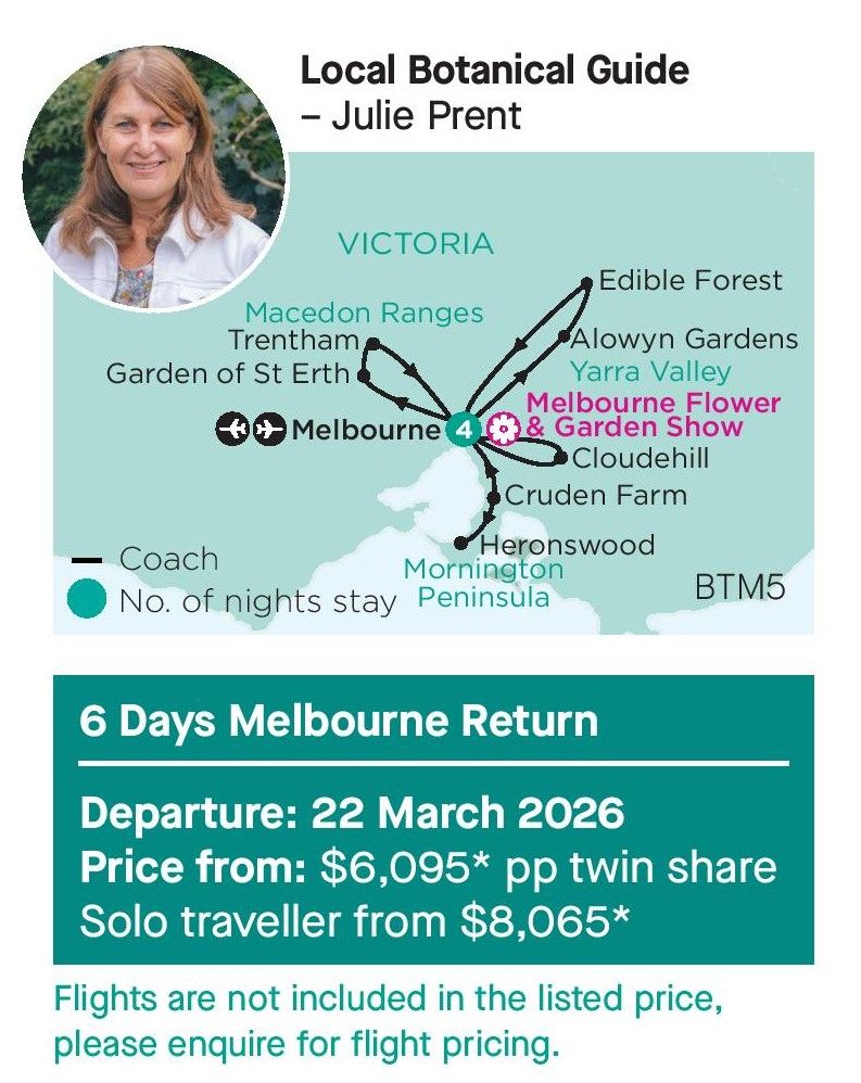 BOT-616 Bethlehem flyer 31 Mar 2025-page-001.jpg
