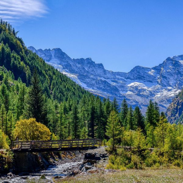 Gran   Paradiso  Guided Hike You  Travel  &  Cruise   Bethlehem 2