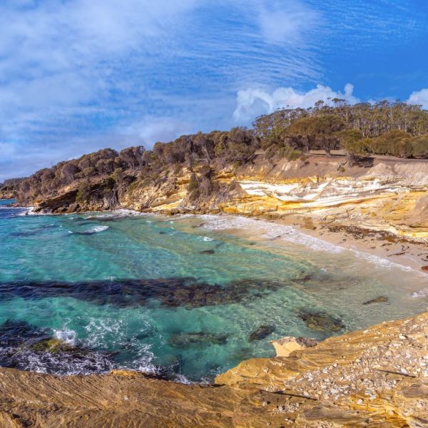 Guided   Maria   Island  You  Travel  &  Cruise   Bethelehem 00003